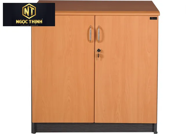 Tủ tài liệu thấp gồm có 2 khoang cánh gỗ mở NT850D